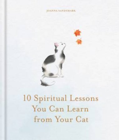 10 Spiritual Lessons You Can Learn from Your Cat by Joanna Sandsmark