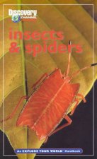 Explore Your World Insects  Spiders