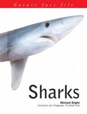Nature Fact File Sharks