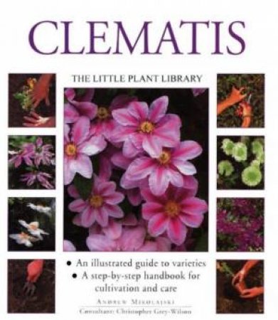 The Little Plant Library: Clematis by Andrew Mikolajski