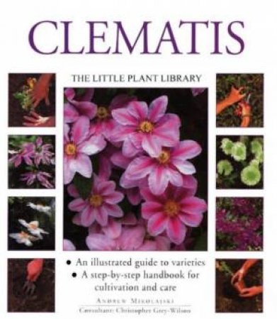 The Little Plant Library: Clematis by Andrew Mikolajski