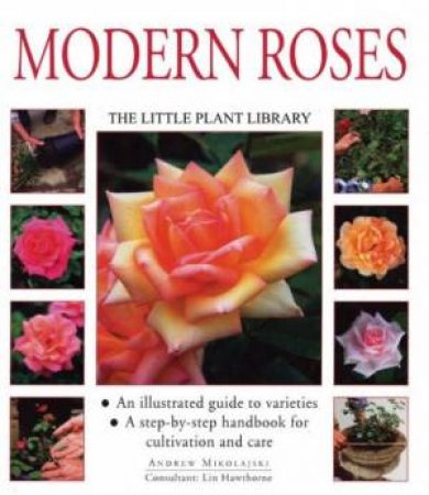 The Little Plant Library: Modern Roses by Andrew Mikolajski