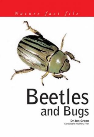Nature Fact File: Beetles And Bugs by Jen Green