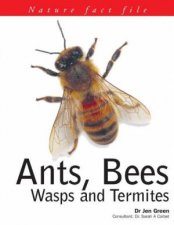 Nature Fact File Ants Bees Wasps And Termites