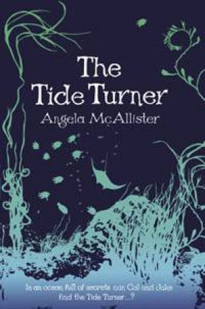 The Tide Turner by Angela McAllister