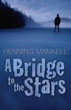 A Bridge To The Stars