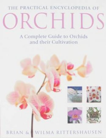 The Practical Encyclopedia of Orchids by Brian & Wilma Rittershausen