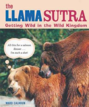 The Llama Sutra: Getting Wild In The Animal Kingdom by Ward Calhoun