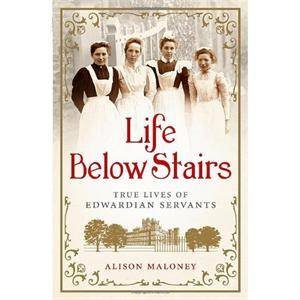 Life Below Stairs by Alison Maloney