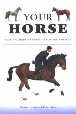 The Complete Guide To Caring For Your Horse