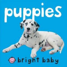 Bright Baby Puppies