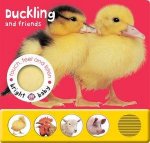 Touch Feel  Listen Duckling And Friends