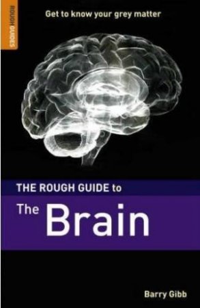 The Rough Guide To The Brain by Rough Guides 
