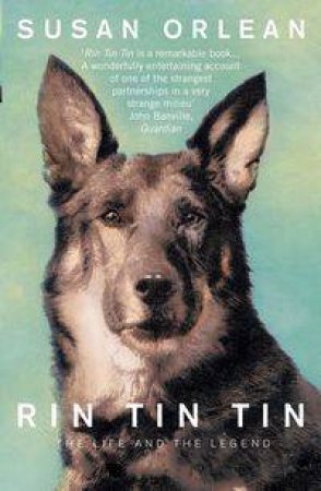 Rin Tin Tin by Miriam Darlington