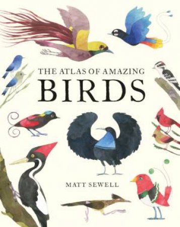 The Atlas Of Amazing Birds by Matt Sewell