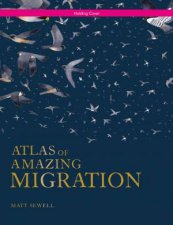 Atlas Of Amazing Migration