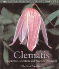 Clematis Inspiration Selection And Practical Guidance