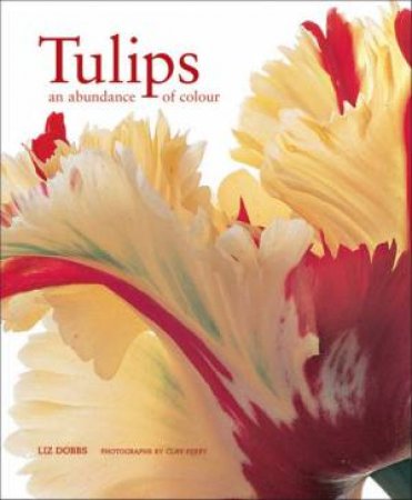 Tulips: An Abundance Of Colour by Liz Dobbs