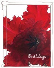 Red Birthday Book