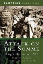 Attack on the Somme Haigs Offensive 1916