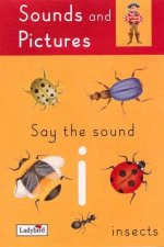 Sounds And Pictures Say The Sound I