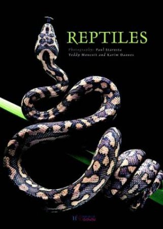 Reptiles by Teddy Moncuit & Karim Daoues & Paul Starosta