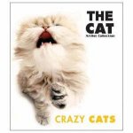 The Cat Crazy Cats