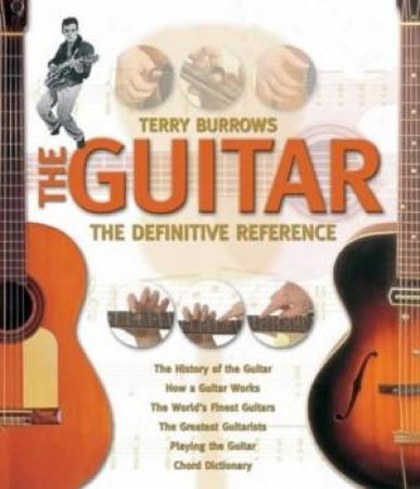 The Guitar by Terry Burrows