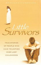 Little Survivors True Stories of Pople Who Have Triumphed Over Lost Childhoods
