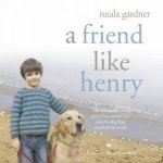 A Friend Like Henry CD