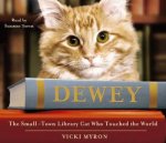 Dewey CD