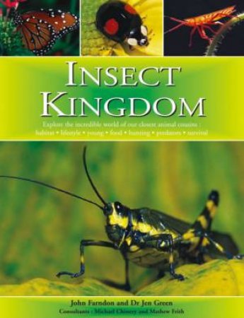Insect Kingdom by John Farndon & Jen Green