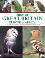 Birds Of Great Britain Europe  Africa