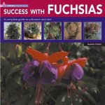Garden KnowHow Success With Fuchsias
