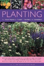 Planting For Visual Impact And Scent In Borders And Containers