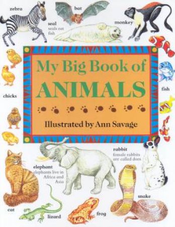My Big Book Of Animals by Jenny Vaughan & Ann Savage