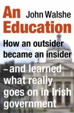 Education How an outsider became an insider  and learned what really goes on in Irish Government