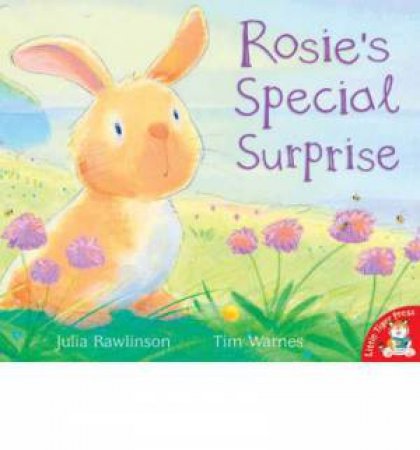 Rosie's Special Surprise by Various
