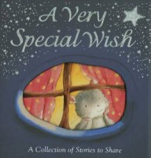 A Very Special Wish