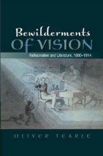 Bewilderments of Vision Hallucination  Literature 18801914