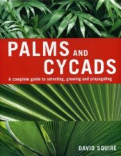 Palms And Cycads