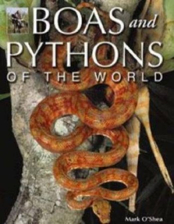 Boas And Pythons Of The World by Mark O'Shea