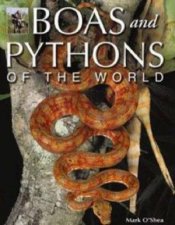 Boas And Pythons Of The World