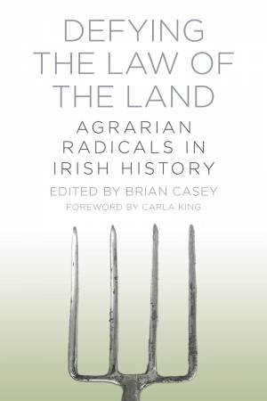 Law of the Land by Brian Casey