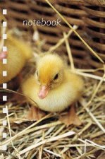 Duckling Mini Notebook