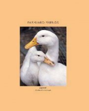 Farmyard Friends Notecards