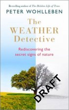 The Weather Detective Rediscovering Natures Secret Signs
