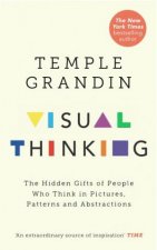 The Visual Thinker