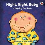 Night Night Baby A Rhyming Flap Book