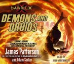 Demons And Druids